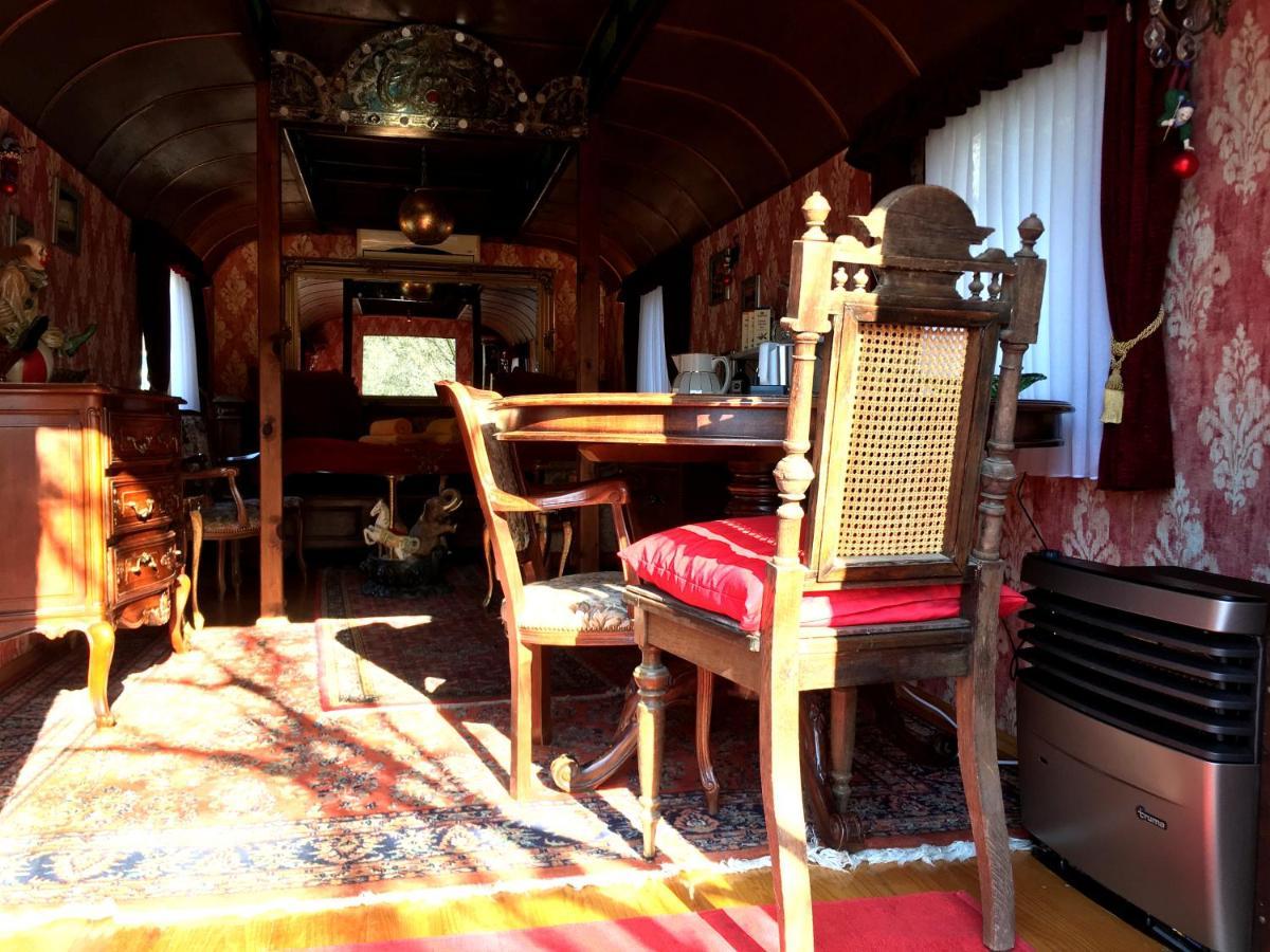 Historischer Zirkuswagen Mit Terrasse Und Blick Ins Gruene Вітценгаузен Екстер'єр фото